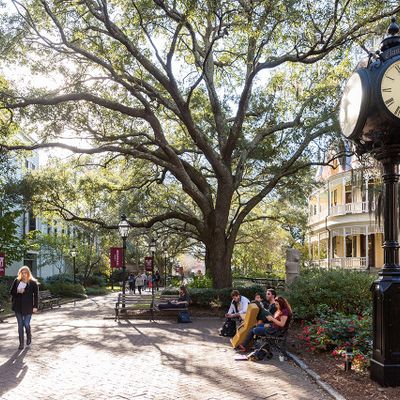 Image of $College Of Charleston campus