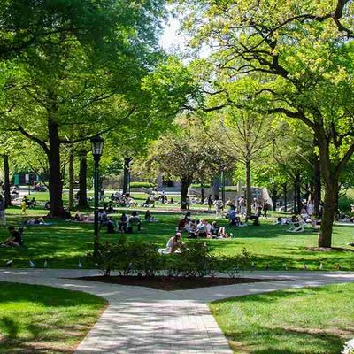 Image of $Loyola University Maryland campus