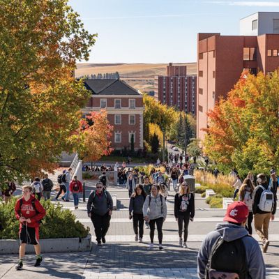 Image of $Washington State University campus